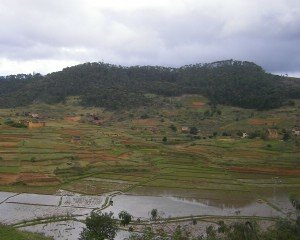 rizieres des hauts plateaux malagasy.JPG