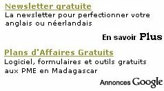 Une annonce Google Adsense imitée par le contenu d’un site