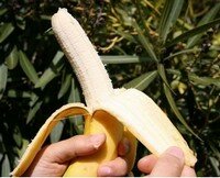 Apprenez à peler votre banane par le bon bout