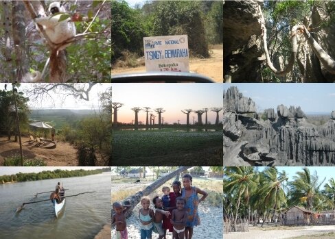 Voyage aux Tsingy de Bemaraha - 2e partie