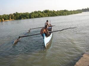 35-mangove-pirogue