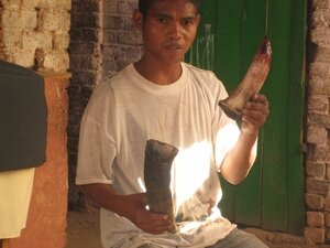 47-antsirabe-demo-corne-zebu