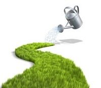 12-habitudes-developpement-personnel-suite