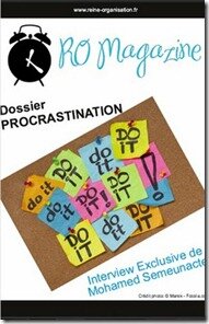 Reine de l'Organisation : dossier procrastination