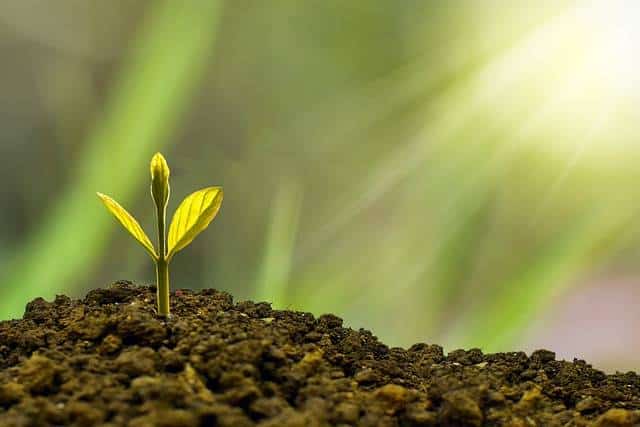 écologie développement durable